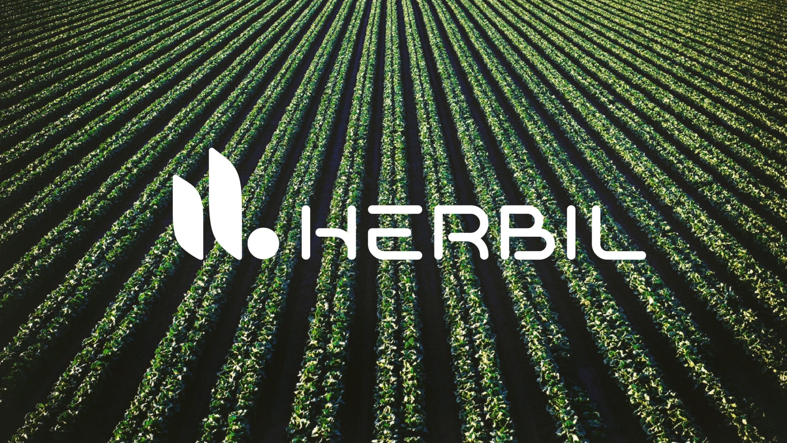 Imagem do projeto Herbil